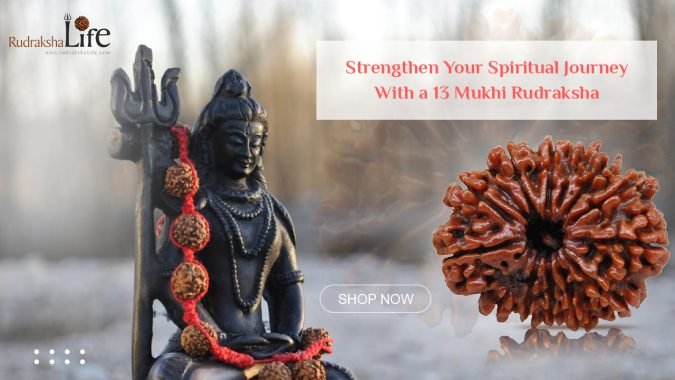 13 Mukhi Rudraksha Strengthen Your Spiritual Journey