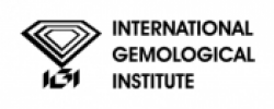 International-180×70 International-180x70